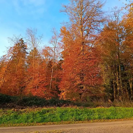 Ferme De La Haye 4* Montroty