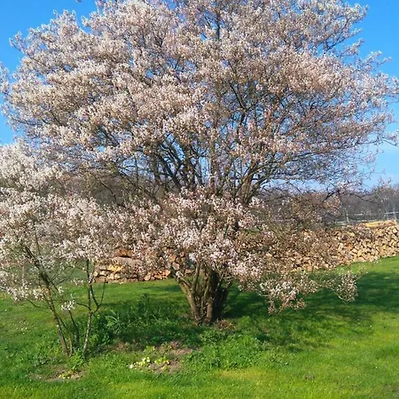 Ferme De La Haye Bed & Breakfast