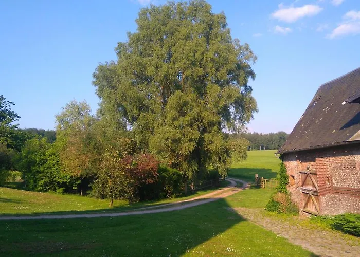 Bed & Breakfast Ferme De La Haye Montroty (Seine-Maritime)