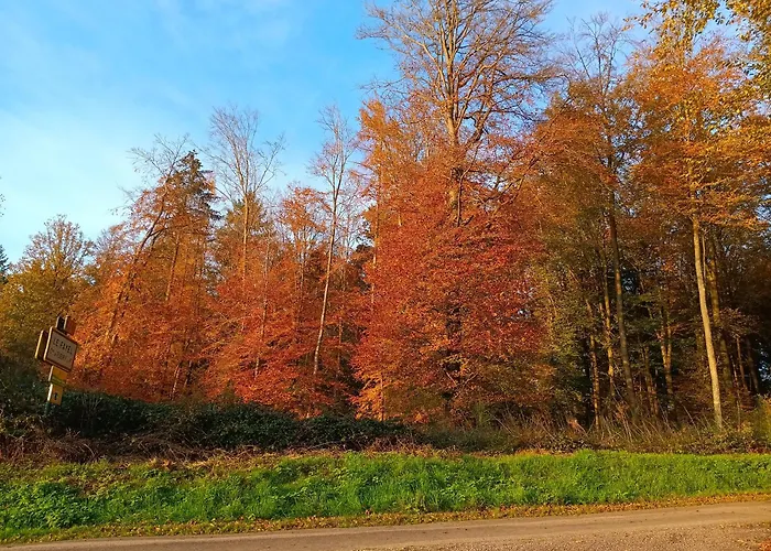 Ferme De La Haye 4* Montroty (Seine-Maritime)