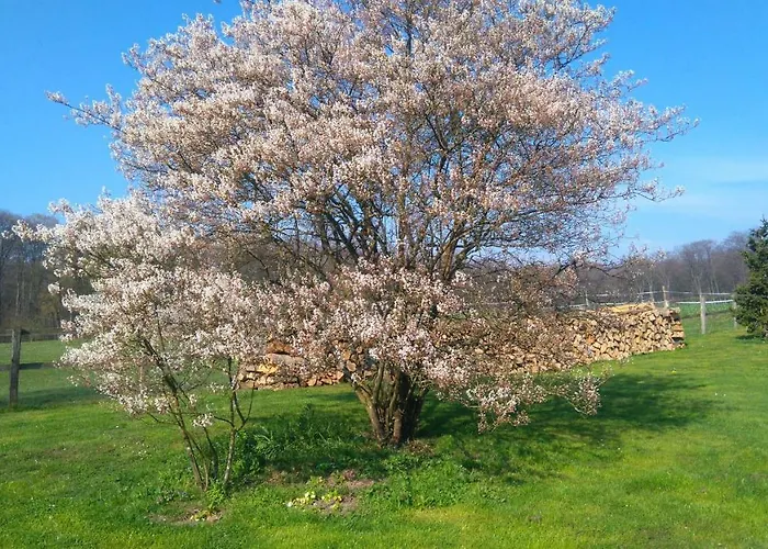 Ferme De La Haye Bed & Breakfast